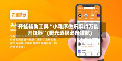 开挂辅助工具“小程序微乐麻将万能开挂器”(曝光透视必备猫腻)-第2张图片