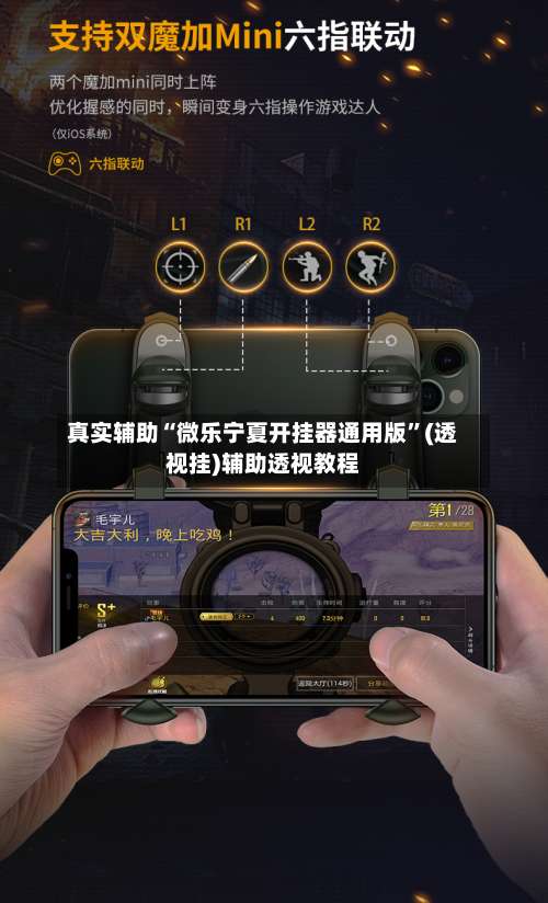 真实辅助“微乐宁夏开挂器通用版	”(透视挂)辅助透视教程-第1张图片