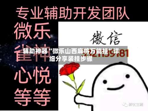 辅助神器“微乐山西麻将万能挂”详细分享装挂步骤-第2张图片