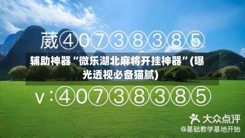 辅助神器“微乐湖北麻将开挂神器”(曝光透视必备猫腻)-第2张图片