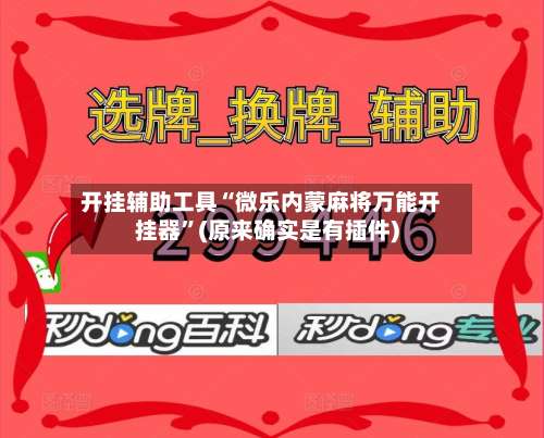 开挂辅助工具“微乐内蒙麻将万能开挂器”(原来确实是有插件)-第2张图片