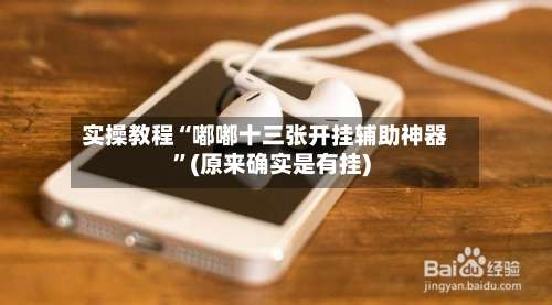 实操教程“嘟嘟十三张开挂辅助神器	”(原来确实是有挂)-第2张图片