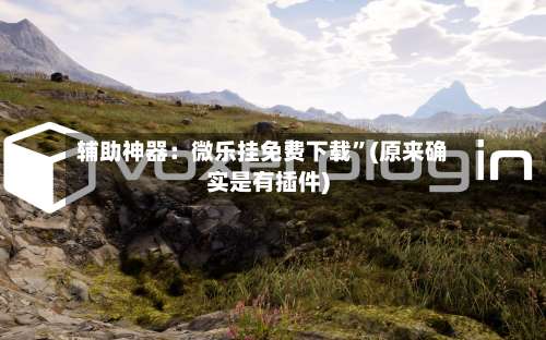 辅助神器：微乐挂免费下载”(原来确实是有插件)-第1张图片