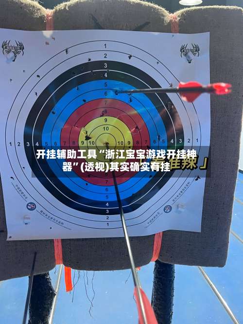 开挂辅助工具“浙江宝宝游戏开挂神器”(透视)其实确实有挂-第1张图片