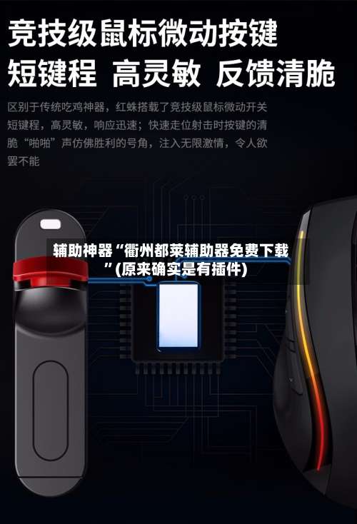 辅助神器“衢州都莱辅助器免费下载”(原来确实是有插件)-第2张图片