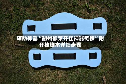 辅助神器“衢州都莱开挂神器链接”附开挂脚本详细步骤-第1张图片