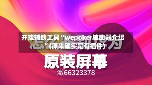 开挂辅助工具“wepoker辅助器介绍”(原来确实是有插件)-第1张图片