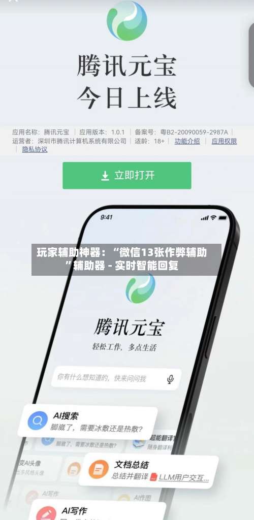 玩家辅助神器：“微信13张作弊辅助”辅助器 - 实时智能回复-第1张图片