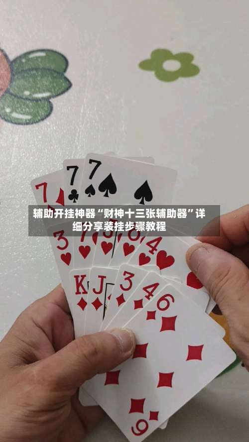 辅助开挂神器“财神十三张辅助器”详细分享装挂步骤教程-第2张图片