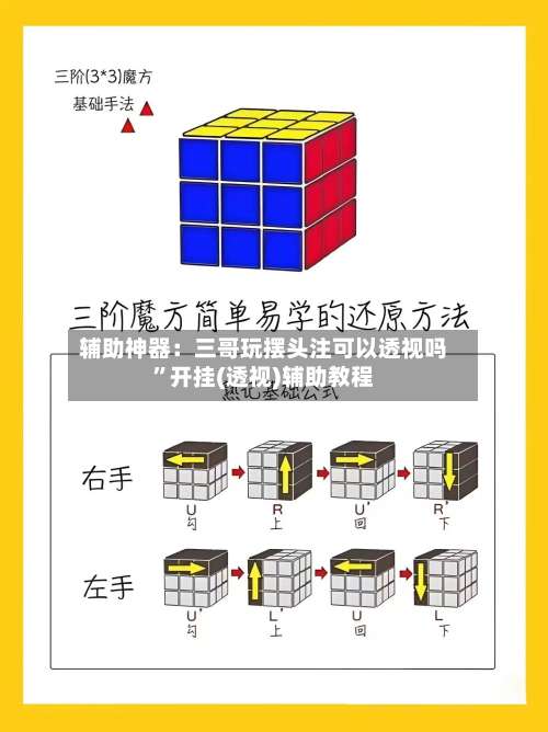 辅助神器：三哥玩摆头注可以透视吗	”开挂(透视)辅助教程-第2张图片