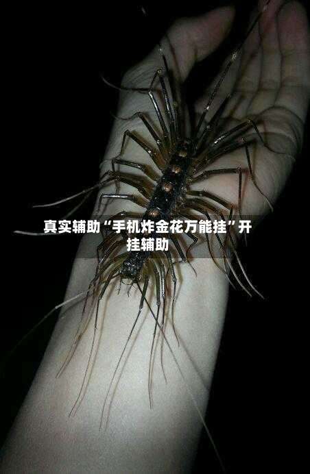 真实辅助“手机炸金花万能挂”开挂辅助-第3张图片