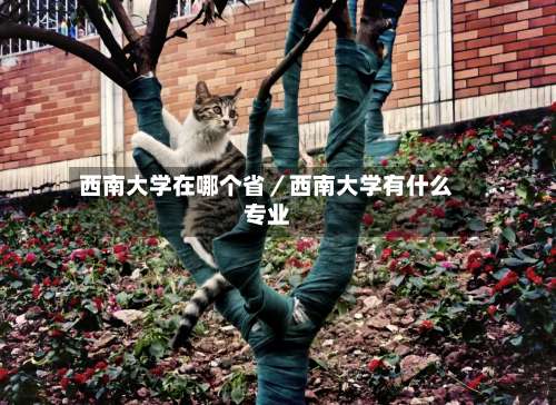 西南大学在哪个省／西南大学有什么专业-第2张图片