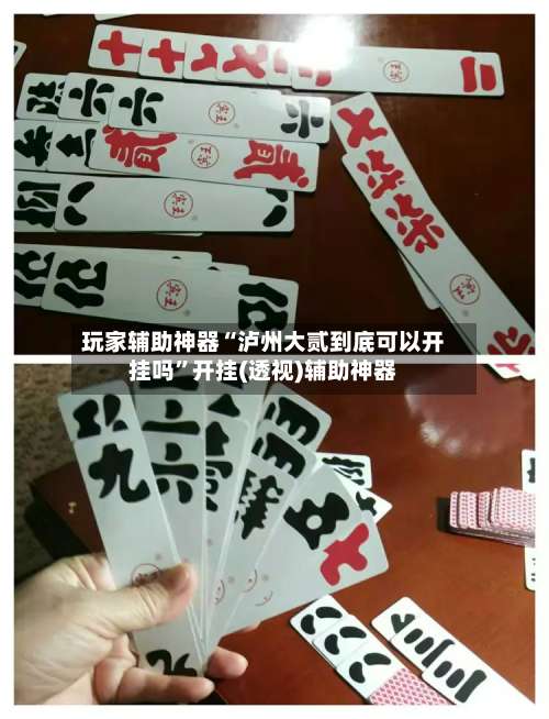 玩家辅助神器“泸州大贰到底可以开挂吗	”开挂(透视)辅助神器-第1张图片