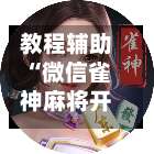 教程辅助“微信雀神麻将开挂神器下载”开挂辅助脚本+详细开挂-第1张图片