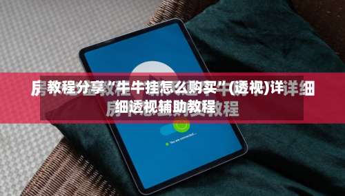 教程分享“牛牛挂怎么购买”(透视)详细透视辅助教程-第2张图片