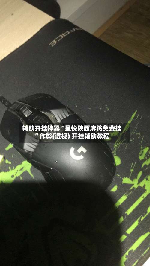 辅助开挂神器“星悦陕西麻将免费挂”作弊(透视) 开挂辅助教程-第3张图片