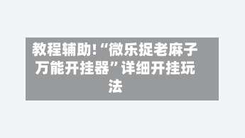 教程辅助!“微乐捉老麻子万能开挂器”详细开挂玩法-第1张图片