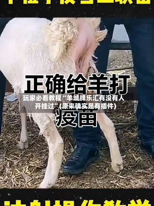 玩家必看教程“羊城牌乐汇有没有人开挂过”(原来确实是有插件)-第1张图片