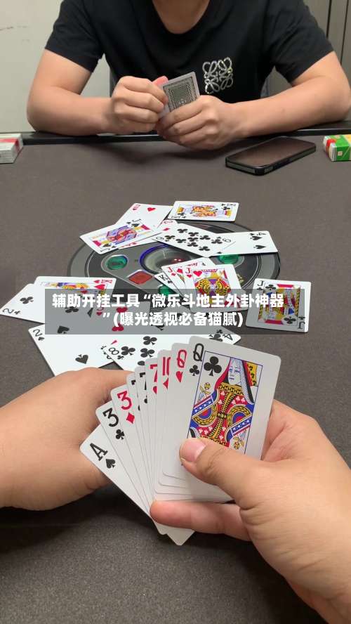 辅助开挂工具“微乐斗地主外卦神器”(曝光透视必备猫腻)-第3张图片
