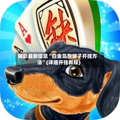 辅助最新信息“白金岛跑胡子开挂方法”(详细开挂教程)-第1张图片