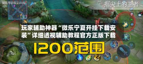 玩家辅助神器“微乐宁夏开挂下载安装	”详细透视辅助教程官方正版下载-第1张图片