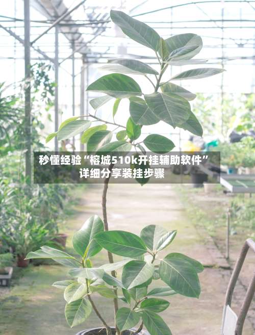 秒懂经验“榕城510k开挂辅助软件	”详细分享装挂步骤-第1张图片