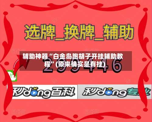 辅助神器“白金岛跑胡子开挂辅助教程”(原来确实是有挂)-第1张图片
