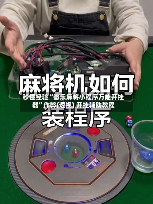 秒懂经验“微乐麻将小程序万能开挂器	”作弊(透视) 开挂辅助教程-第2张图片