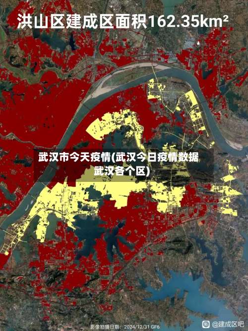 武汉市今天疫情(武汉今日疫情数据武汉各个区)-第1张图片