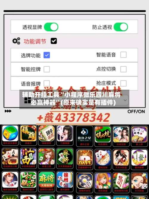 辅助开挂工具“小程序微乐四川麻将必赢神器”(原来确实是有插件)-第1张图片