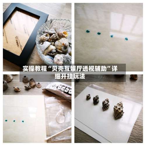 实操教程“贝壳互娱厅透视辅助	”详细开挂玩法-第2张图片