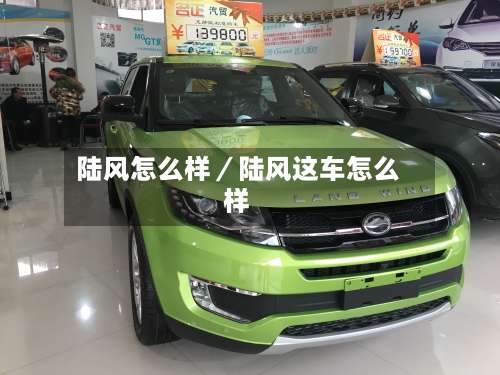 陆风怎么样／陆风这车怎么样-第1张图片