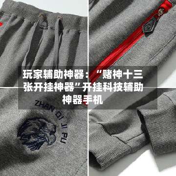 玩家辅助神器：“赌神十三张开挂神器	”开挂科技辅助神器手机-第1张图片