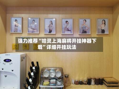 强力推荐“哈灵上海麻将开挂神器下载”详细开挂玩法-第2张图片