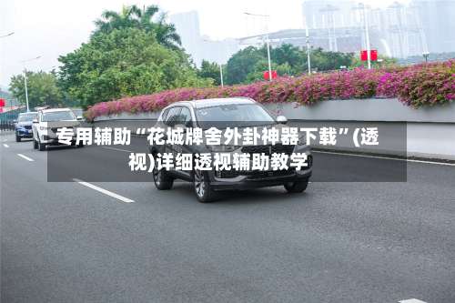 专用辅助“花城牌舍外卦神器下载”(透视)详细透视辅助教学-第1张图片