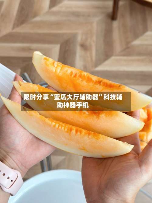 限时分享“蜜瓜大厅辅助器”科技辅助神器手机-第1张图片