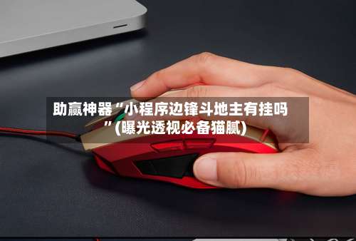 助赢神器“小程序边锋斗地主有挂吗”(曝光透视必备猫腻)-第1张图片