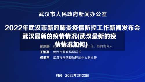 武汉最新的疫情情况(武汉最新的疫情情况如何)-第3张图片