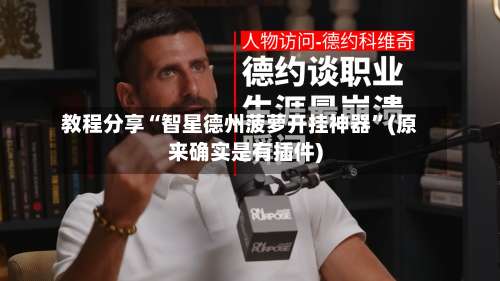 教程分享“智星德州菠萝开挂神器”(原来确实是有插件)-第1张图片