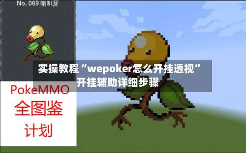 实操教程“wepoker怎么开挂透视”开挂辅助详细步骤-第1张图片