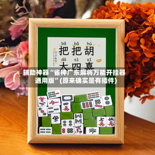 辅助神器“雀神广东麻将万能开挂器通用版”(原来确实是有插件)-第1张图片