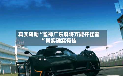 真实辅助“雀神广东麻将万能开挂器”其实确实有挂-第1张图片