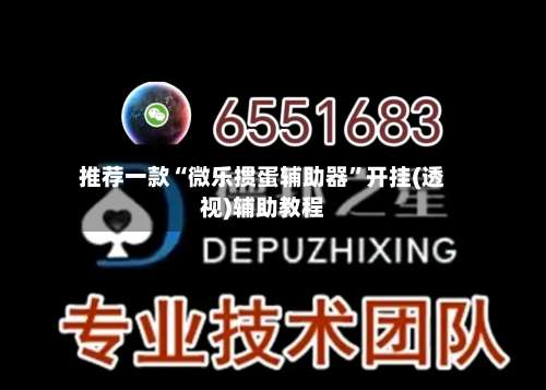 推荐一款“微乐掼蛋辅助器”开挂(透视)辅助教程-第3张图片