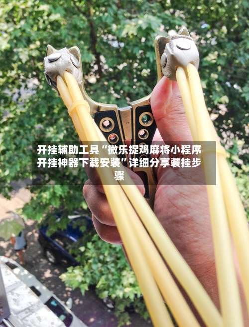 开挂辅助工具“微乐捉鸡麻将小程序开挂神器下载安装”详细分享装挂步骤-第2张图片