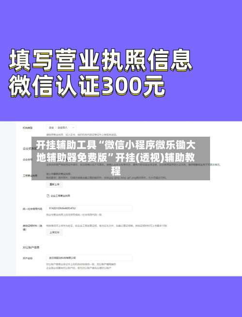 开挂辅助工具“微信小程序微乐锄大地辅助器免费版”开挂(透视)辅助教程-第3张图片