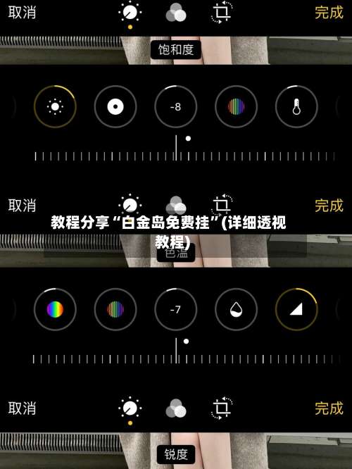 教程分享“白金岛免费挂”(详细透视教程)-第2张图片