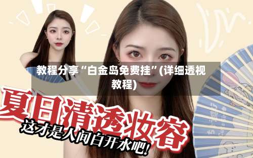 教程分享“白金岛免费挂	”(详细透视教程)-第1张图片