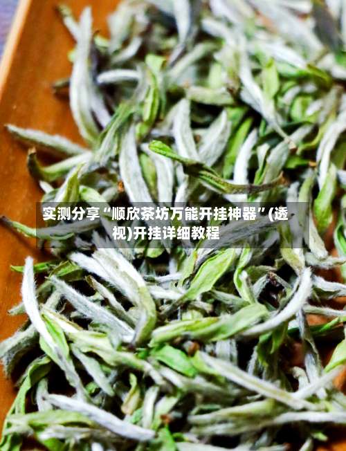 实测分享“顺欣茶坊万能开挂神器	”(透视)开挂详细教程-第3张图片