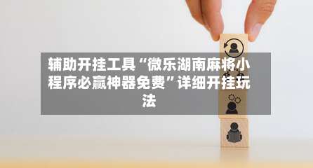 辅助开挂工具“微乐湖南麻将小程序必赢神器免费”详细开挂玩法-第2张图片