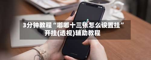 3分钟教程“嘟嘟十三张怎么设置挂	”开挂(透视)辅助教程-第1张图片